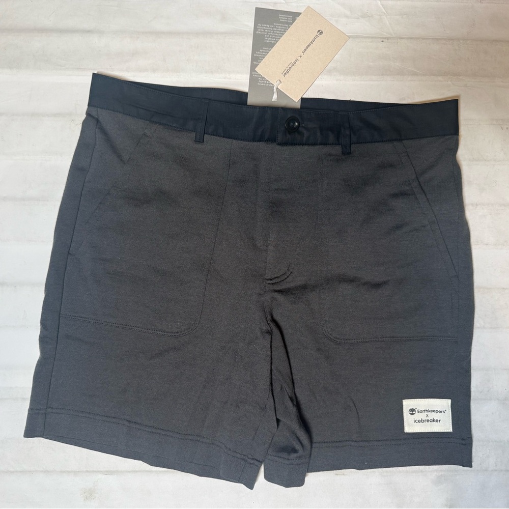 Icebreaker Men's Gray Shorts